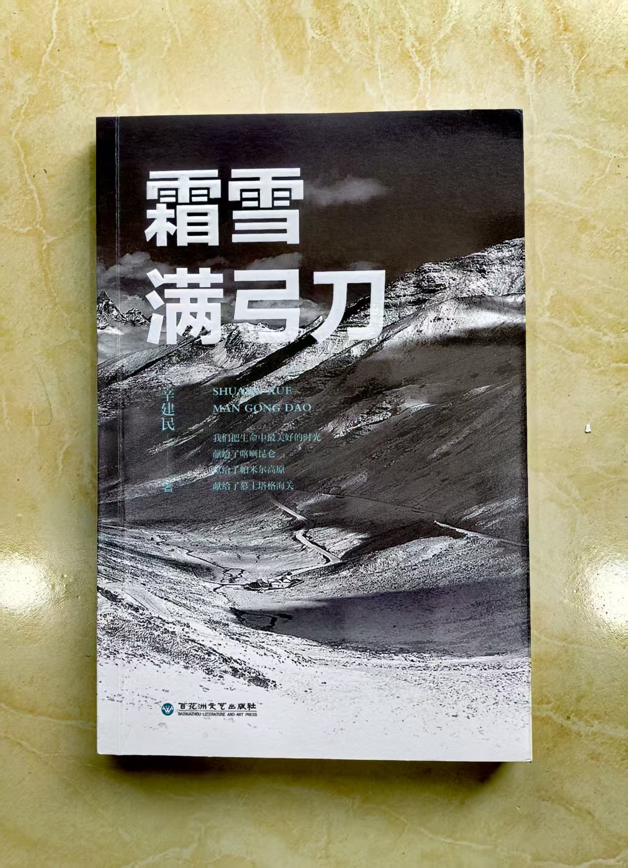 長(zhǎng)篇小說(shuō)《霜雪滿弓刀》作者辛建民