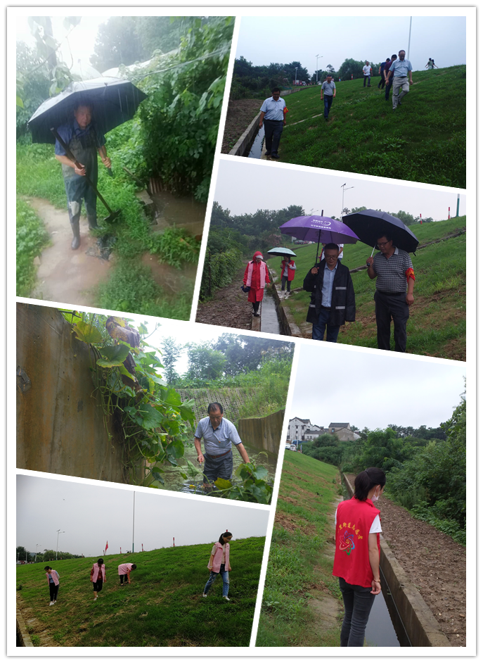  防汛抗洪丨荊劉村：同降雨拼速度，與汛情作斗爭