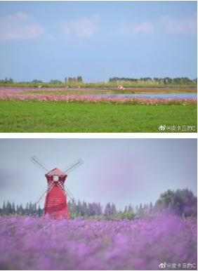 固城湖水慢城