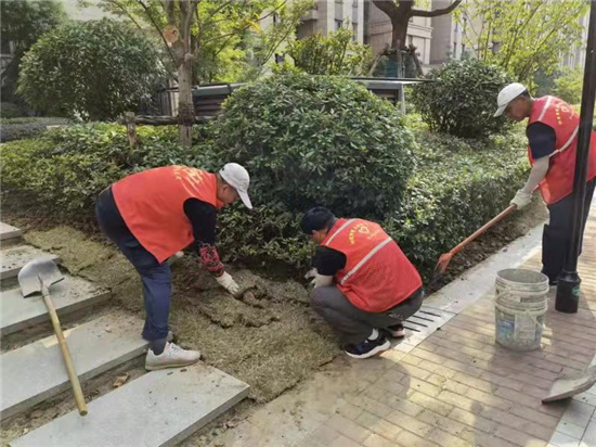 石埠橋村社區(qū)殘疾人之家:草皮資源再利用 即節(jié)資又改善環(huán)境